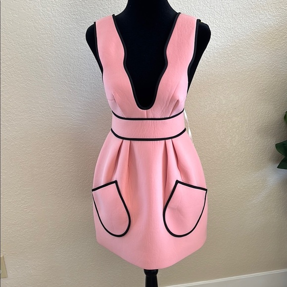 $180 NWT Sold Out Revolve Alice McCall Cloudbursting Dress in Ballet - Picture 2 of 10